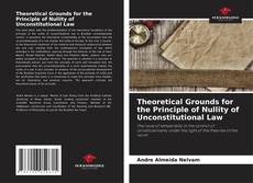 Обложка Theoretical Grounds for the Principle of Nullity of Unconstitutional Law