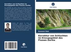 Copertina di Korrektur von Schluchten im Einzugsgebiet des Flusses Ourika