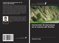 Capa do livro de Corrección de barrancos en la cuenca del Ourika 