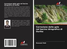 Correzione delle gole nel bacino idrografico di Ourika的封面
