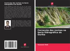 Buchcover von Correcção das ravinas na bacia hidrográfica do Ourika