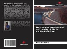 Buchcover von Wastewater management and quality of life in Abobo-SOGEFIHA