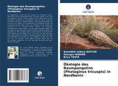 Ökologie des Baumpangolins (Phataginus tricuspis) in Nordbenin kitap kapağı