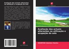 Bookcover of Avaliação das actuais alterações na utilização e ocupação do solo