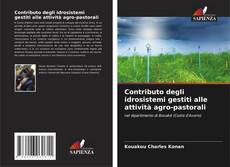 Contributo degli idrosistemi gestiti alle attività agro-pastorali kitap kapağı