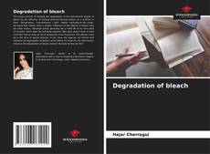 Degradation of bleach kitap kapağı