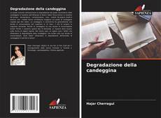 Degradazione della candeggina kitap kapağı