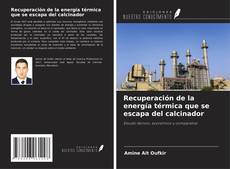 Recuperación de la energía térmica que se escapa del calcinador kitap kapağı