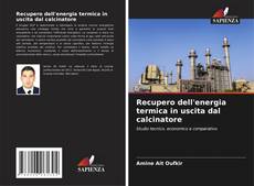 Recupero dell'energia termica in uscita dal calcinatore kitap kapağı
