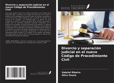 Couverture de Divorcio y separación judicial en el nuevo Código de Procedimiento Civil