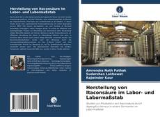 Bookcover of Herstellung von Itaconsäure im Labor- und Labormaßstab