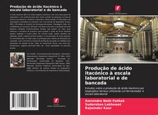 Bookcover of Produção de ácido itacónico à escala laboratorial e de bancada