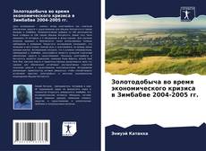Buchcover von Золотодобыча во время экономического кризиса в Зимбабве 2004-2005 гг.