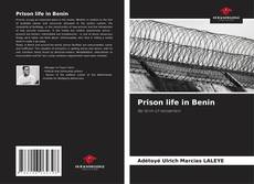 Prison life in Benin kitap kapağı