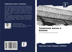 Portada del libro de Тюремная жизнь в Бенине