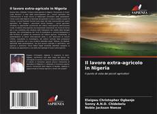 Il lavoro extra-agricolo in Nigeria的封面