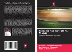 Copertina di Trabalho não agrícola na Nigéria