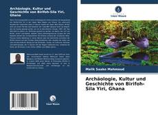 Copertina di Archäologie, Kultur und Geschichte von Birifoh-Sila Yiri, Ghana