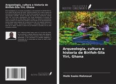 Borítókép a  Arqueología, cultura e historia de Birifoh-Sila Yiri, Ghana - hoz