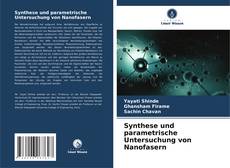 Copertina di Synthese und parametrische Untersuchung von Nanofasern