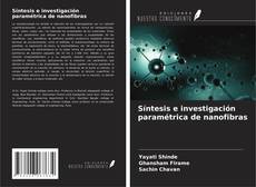 Síntesis e investigación paramétrica de nanofibras的封面