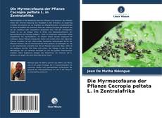 Buchcover von Die Myrmecofauna der Pflanze Cecropia peltata L. in Zentralafrika