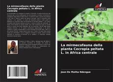 Borítókép a  La mirmecofauna della pianta Cecropia peltata L. in Africa centrale - hoz