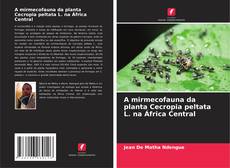 Borítókép a  A mirmecofauna da planta Cecropia peltata L. na África Central - hoz