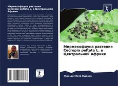 Мирмекофауна растения Cecropia peltata L. в Центральной Африке kitap kapağı