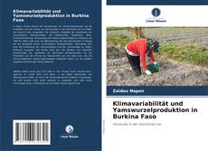 Copertina di Klimavariabilität und Yamswurzelproduktion in Burkina Faso