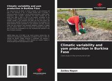 Bookcover of Climatic variability and yam production in Burkina Faso