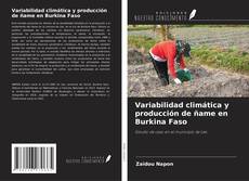 Bookcover of Variabilidad climática y producción de ñame en Burkina Faso