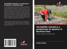 Copertina di Variabilità climatica e produzione di igname in Burkina Faso
