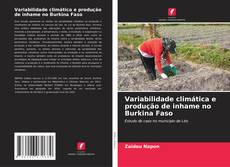 Copertina di Variabilidade climática e produção de inhame no Burkina Faso