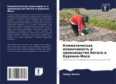 Bookcover of Климатическая изменчивость и производство батата в Буркина-Фасо