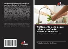 Trattamento delle acque reflue a confronto Solfato di alluminio的封面