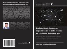 Evaluación de las pautas espaciales de la delincuencia en Liverpool mediante SIG kitap kapağı