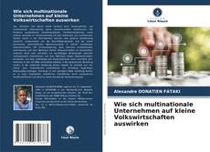 Обложка Wie sich multinationale Unternehmen auf kleine Volkswirtschaften auswirken