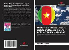 Bookcover of Protection of fundamental rights and freedoms and anti-terrorism legislation
