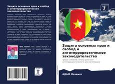 Bookcover of Защита основных прав и свобод и антитеррористическое законодательство