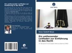 Copertina di Ein umfassender Leitfaden zur Einführung in das Recht