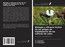 Copertina di Biología y eficacia invitro de las plagas de lepidópteros de los cultivos de coles