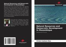 Buchcover von Natural Resources and Democratic Development in Mozambique