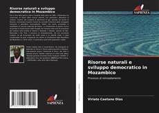 Bookcover of Risorse naturali e sviluppo democratico in Mozambico