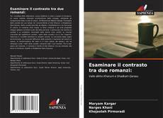 Esaminare il contrasto tra due romanzi:的封面
