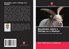 Buchcover von Novidades sobre o Ñáñigo ou o Abakuá