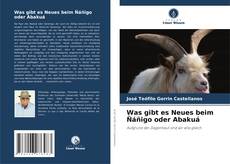 Обложка Was gibt es Neues beim Ñáñigo oder Abakuá