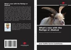 Bookcover of What's new with the Ñañigo or Abakuá