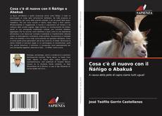 Copertina di Cosa c'è di nuovo con il Ñáñigo o Abakuá