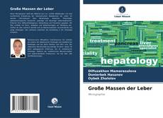 Capa do livro de Große Massen der Leber 